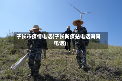 子长市疫情电话(子长防疫站电话询问电话)-第2张图片