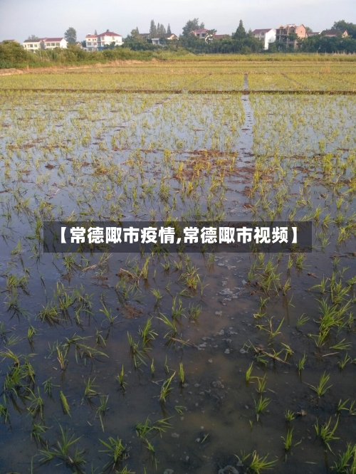 【常德陬市疫情,常德陬市视频】-第2张图片