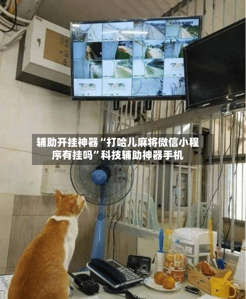 辅助开挂神器“打哈儿麻将微信小程序有挂吗”科技辅助神器手机-第1张图片