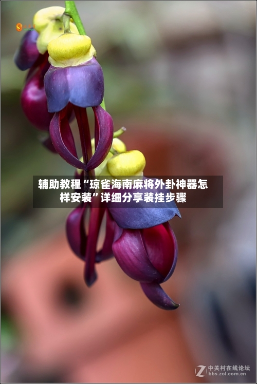 辅助教程“琼雀海南麻将外卦神器怎样安装”详细分享装挂步骤-第1张图片