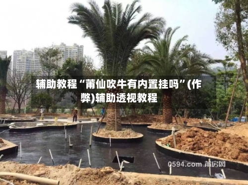 辅助教程“莆仙吹牛有内置挂吗”(作弊)辅助透视教程-第1张图片