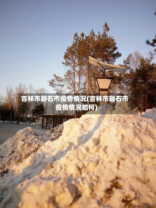 吉林市磬石市疫情情况(吉林市磬石市疫情情况如何)-第3张图片