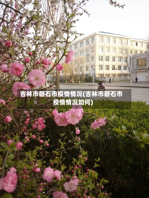吉林市磬石市疫情情况(吉林市磬石市疫情情况如何)-第1张图片