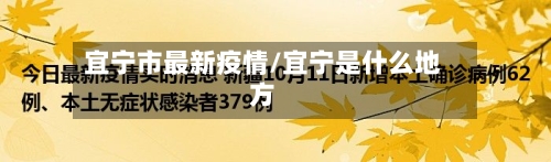 宜宁市最新疫情/宜宁是什么地方-第2张图片