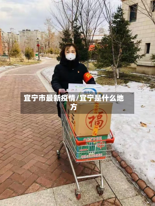 宜宁市最新疫情/宜宁是什么地方-第3张图片