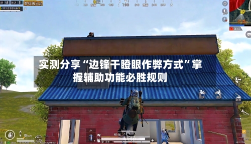 实测分享“边锋干瞪眼作弊方式	”掌握辅助功能必胜规则-第2张图片