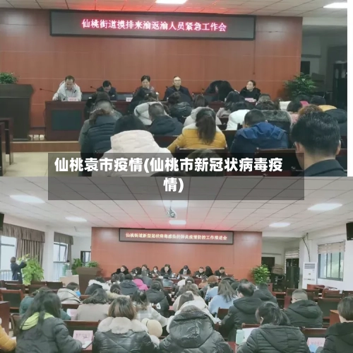 仙桃袁市疫情(仙桃市新冠状病毒疫情)-第2张图片