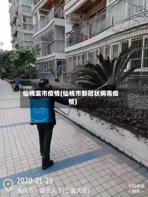 仙桃袁市疫情(仙桃市新冠状病毒疫情)-第3张图片