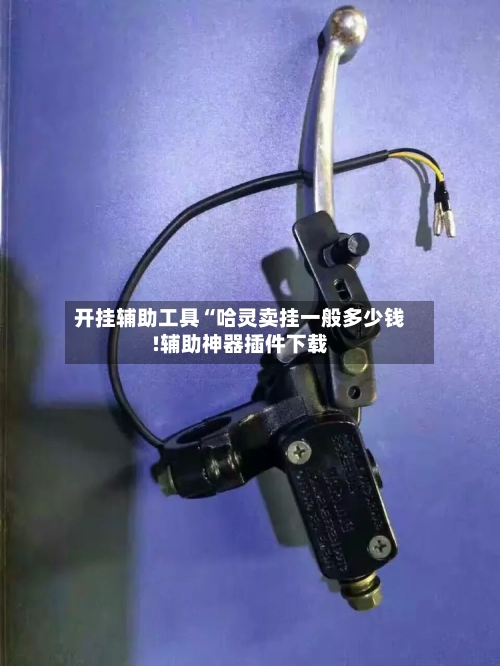 开挂辅助工具“哈灵卖挂一般多少钱!辅助神器插件下载-第3张图片