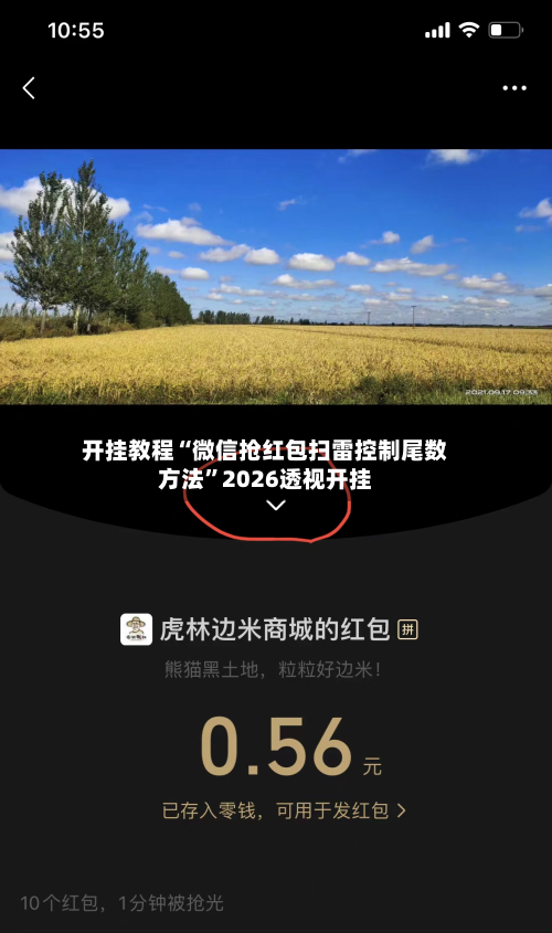 开挂教程“微信抢红包扫雷控制尾数方法”2026透视开挂-第2张图片