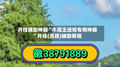 开挂辅助神器“牛魔王透视专用神器	”开挂(透视)辅助教程-第2张图片