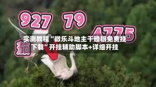 实测教程“微乐斗地主干瞪眼免费挂下载	”开挂辅助脚本+详细开挂-第1张图片