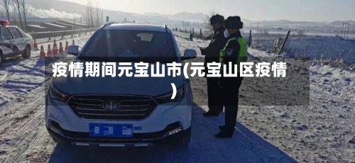 疫情期间元宝山市(元宝山区疫情)-第3张图片