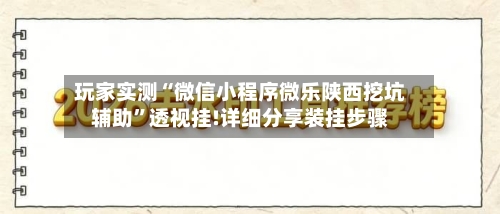 玩家实测“微信小程序微乐陕西挖坑辅助	”透视挂!详细分享装挂步骤-第1张图片