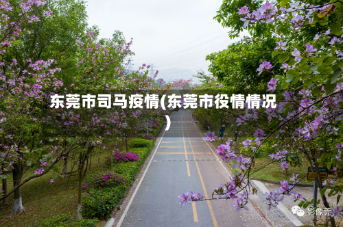 东莞市司马疫情(东莞市役情情况)-第3张图片