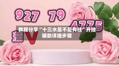 教程分享“十三水是不是有挂	”开挂辅助详细步骤-第1张图片