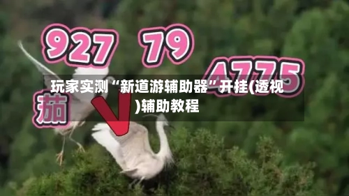 玩家实测“新道游辅助器	”开挂(透视)辅助教程-第2张图片