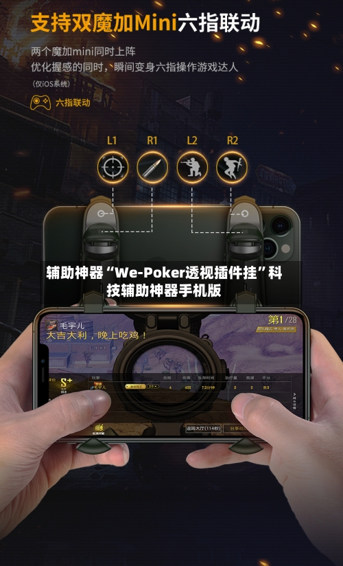 辅助神器“We-Poker透视插件挂”科技辅助神器手机版-第1张图片
