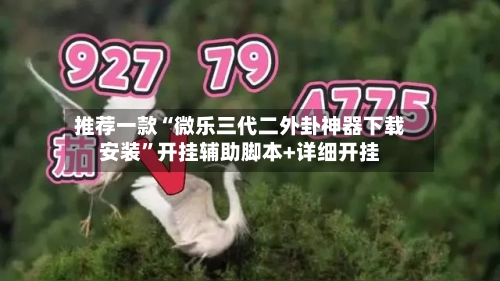 推荐一款“微乐三代二外卦神器下载安装”开挂辅助脚本+详细开挂-第1张图片