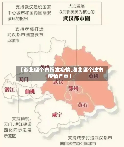 【湖北哪个市爆发疫情,湖北哪个城市疫情严重】-第1张图片