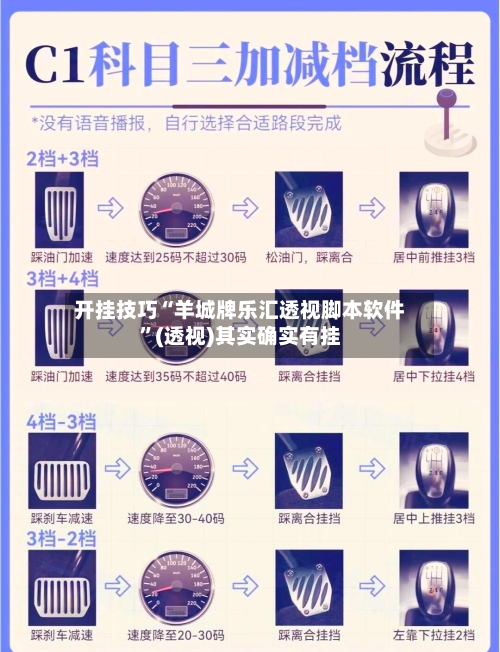 开挂技巧“羊城牌乐汇透视脚本软件	”(透视)其实确实有挂-第1张图片