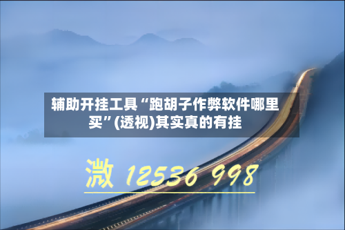 辅助开挂工具“跑胡子作弊软件哪里买”(透视)其实真的有挂-第1张图片