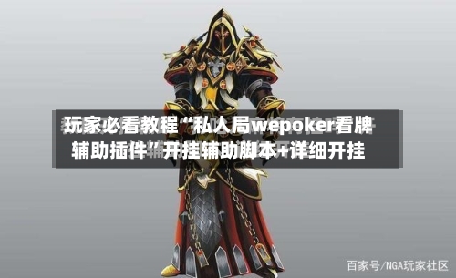 玩家必看教程“私人局wepoker看牌辅助插件”开挂辅助脚本+详细开挂-第2张图片