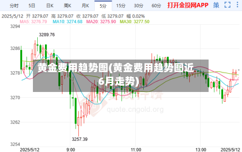 黄金费用趋势图(黄金费用趋势图近6月走势)-第3张图片