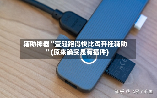 辅助神器“壹起跑得快比鸡开挂辅助	”(原来确实是有插件)-第3张图片