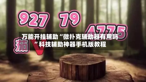 万能开挂辅助“微扑克辅助器有用吗	”科技辅助神器手机版教程-第3张图片