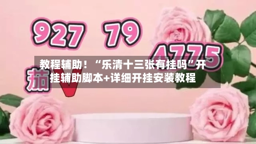 教程辅助！“乐清十三张有挂吗	”开挂辅助脚本+详细开挂安装教程-第2张图片