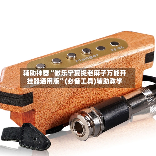 辅助神器“微乐宁夏捉老麻子万能开挂器通用版	”(必备工具)辅助教学-第2张图片