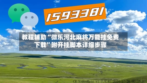 教程辅助“微乐河北麻将万能挂免费下载	”附开挂脚本详细步骤-第2张图片