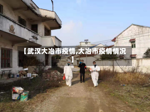 【武汉大冶市疫情,大冶市疫情情况】-第2张图片