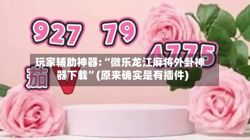 玩家辅助神器:“微乐龙江麻将外卦神器下载”(原来确实是有插件)-第3张图片