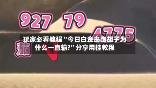 玩家必看教程“今日白金岛跑胡子为什么一直输?”分享用挂教程-第1张图片