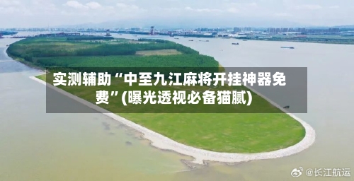 实测辅助“中至九江麻将开挂神器免费”(曝光透视必备猫腻)-第1张图片