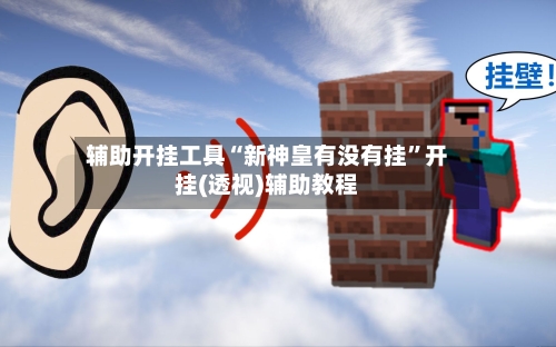 辅助开挂工具“新神皇有没有挂”开挂(透视)辅助教程-第2张图片