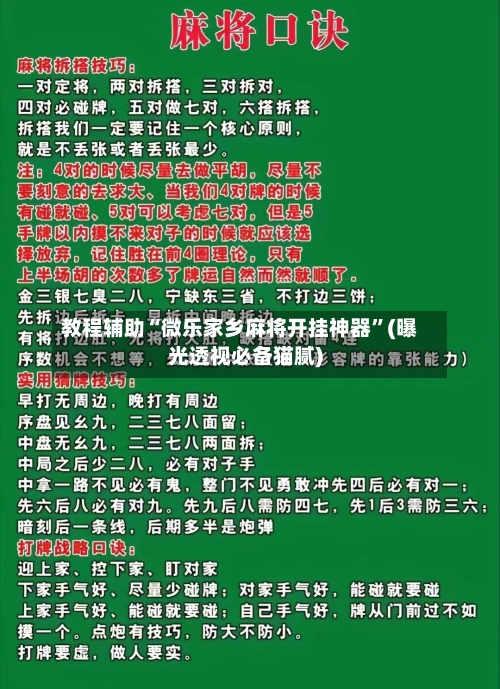 教程辅助“微乐家乡麻将开挂神器”(曝光透视必备猫腻)-第2张图片