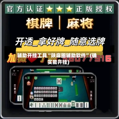 辅助开挂工具“陕麻圈辅助软件”(确实能开挂)-第3张图片