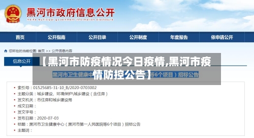 【黑河市防疫情况今日疫情,黑河市疫情防控公告】-第3张图片
