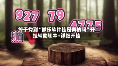 终于找到“微乐软件挂是真的吗”开挂辅助脚本+详细开挂-第3张图片