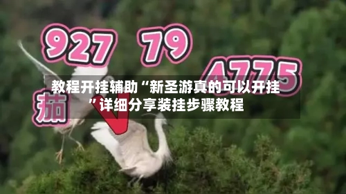 教程开挂辅助“新圣游真的可以开挂”详细分享装挂步骤教程-第1张图片