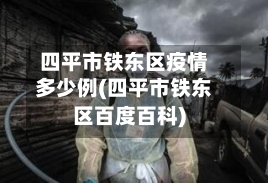 四平市铁东区疫情多少例(四平市铁东区百度百科)-第3张图片