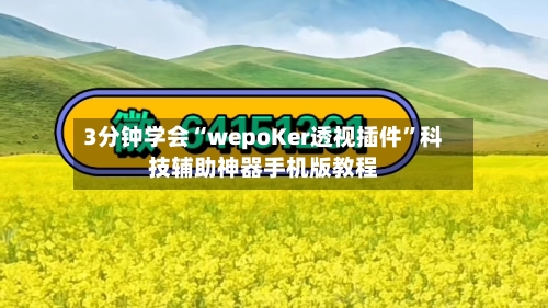 3分钟学会“wepoKer透视插件”科技辅助神器手机版教程-第1张图片