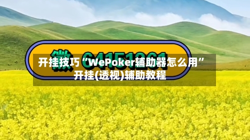 开挂技巧“WePoker辅助器怎么用”开挂(透视)辅助教程-第1张图片