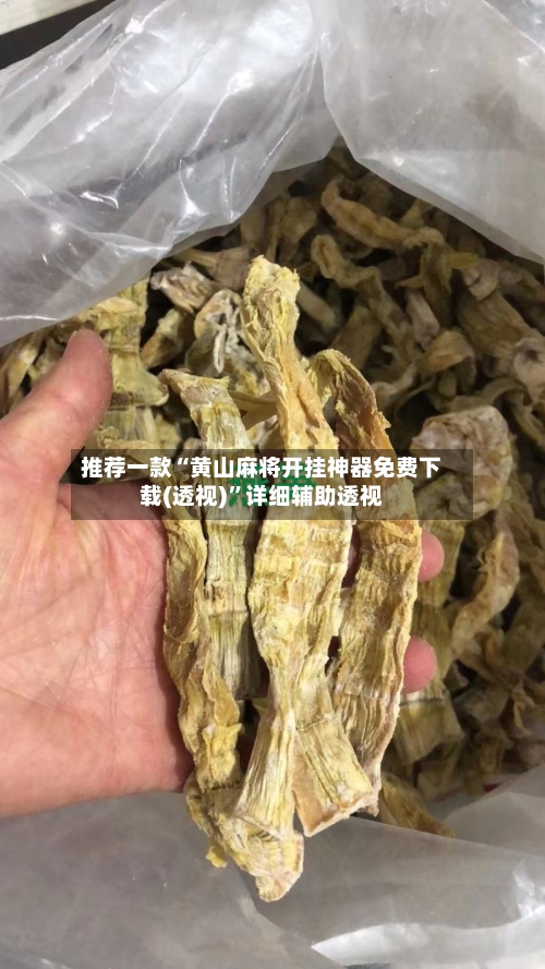 推荐一款“黄山麻将开挂神器免费下载(透视)”详细辅助透视-第1张图片