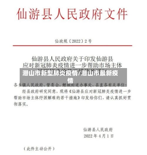 潜山市新型肺炎疫情/潜山市最新疫情-第3张图片