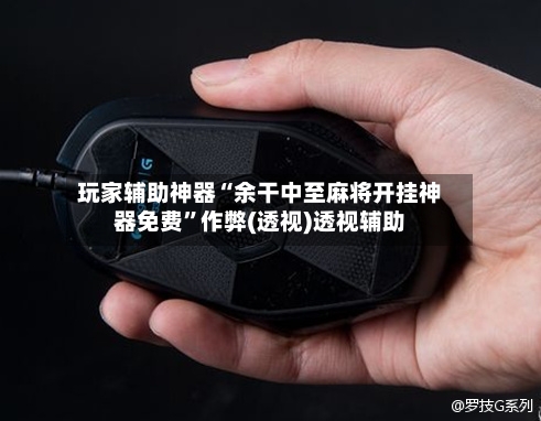 玩家辅助神器“余干中至麻将开挂神器免费”作弊(透视)透视辅助-第2张图片