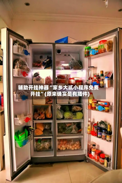 辅助开挂神器“家乡大贰小程序免费开挂”(原来确实是有插件)-第2张图片